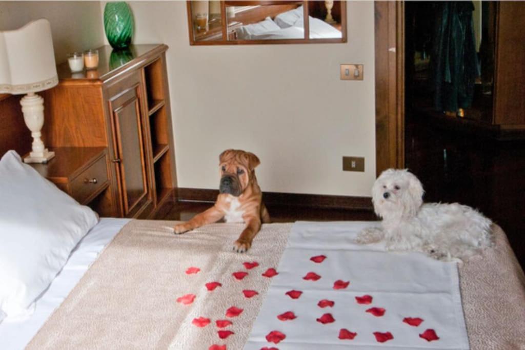 Casa Con Vista Colosseo - Luxury With Colosseum View Apartment